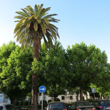 コルドバPatios De San Pedroアパートメント エクステリア 写真