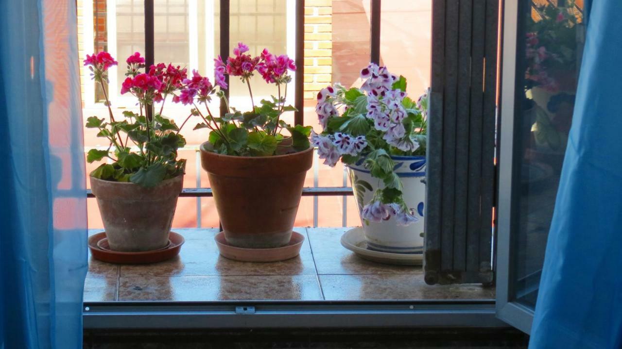 コルドバPatios De San Pedroアパートメント エクステリア 写真