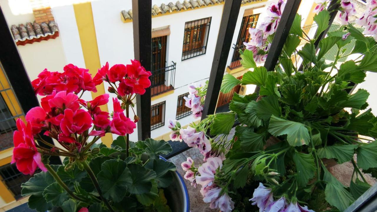 コルドバPatios De San Pedroアパートメント エクステリア 写真