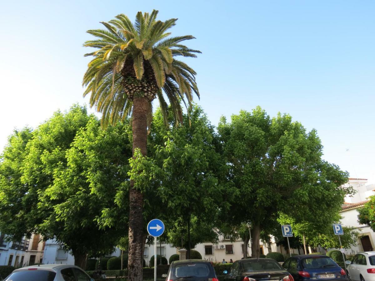 コルドバPatios De San Pedroアパートメント エクステリア 写真